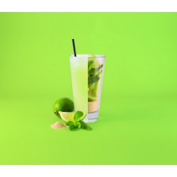 MOJITO  GRANIZADO  MAESTRE...
